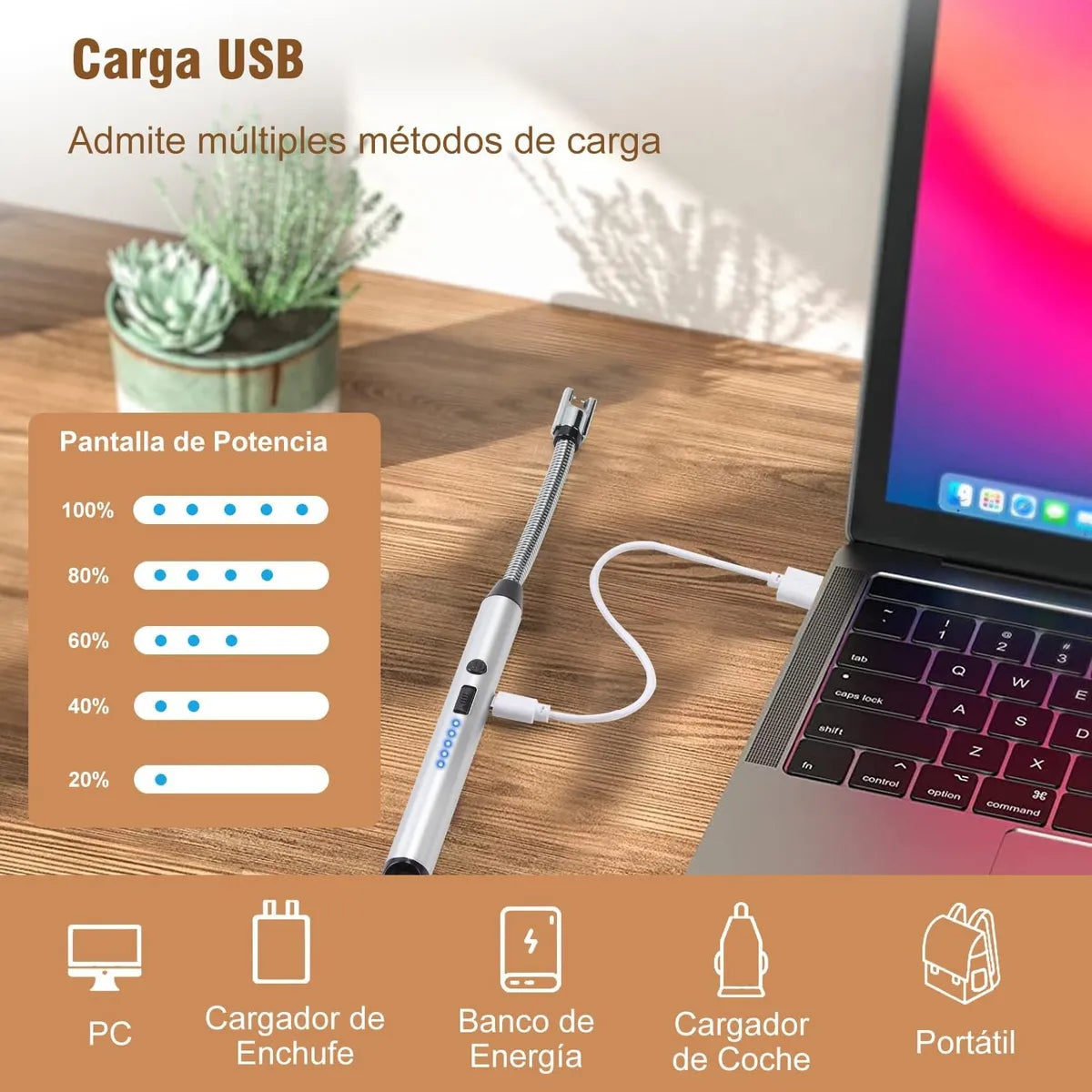 Encendedor Electronico Recargable