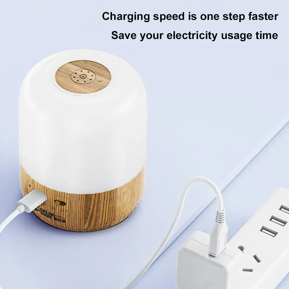 Lámpara De Bamboo, Luz Led Portátil Tactil Recargable